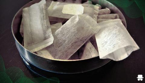 tobacco plant leaves How to Choose the Best Tobacco Leaves for Cigars & Cigarettes
