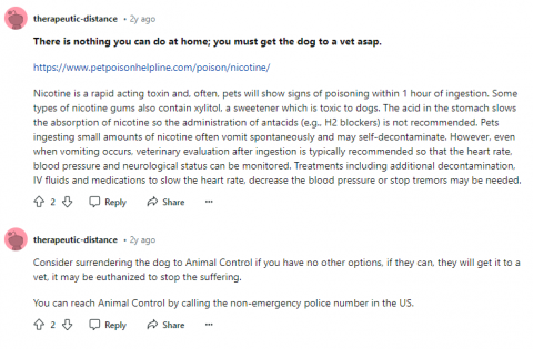 dog ate tobacco pouch My Dog Ate ZYN Pouches? Concern, Solutions, and Safety dog ate tobacco pouch My Dog Ate ZYN Pouches? Concern, Solutions, and Safety