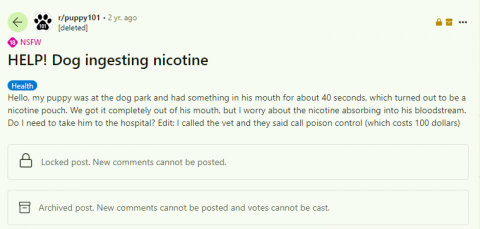 will cigarette cravings ever go away How to Stop Cigarette Cravings