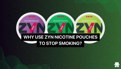 tobacco for cigarette tubes Zig Zag Filter Tubes - RYO Cigarette Tubes