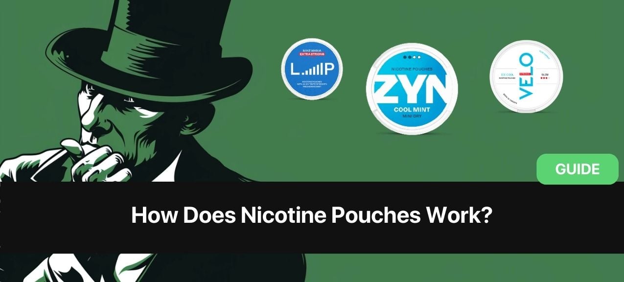 https://snusdaddy.com/media/amasty/blog//113/How_Does_Nicotine_Pouches_Work.jpg