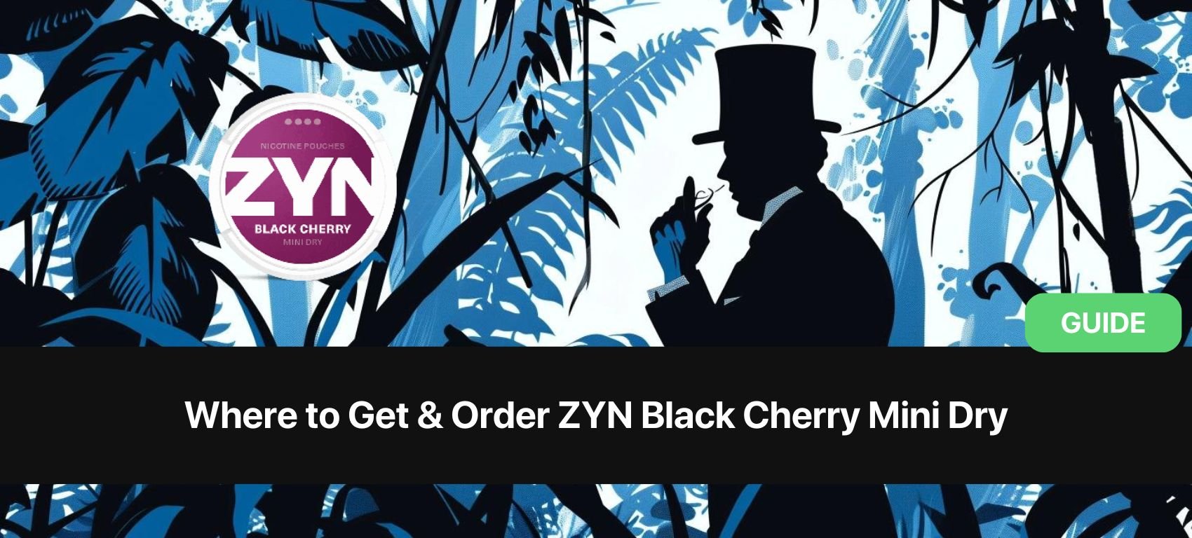 https://snusdaddy.com/media/amasty/blog//122/Where_to_Get_Order_ZYN_Black_Cherry_Mini_Dry.jpg