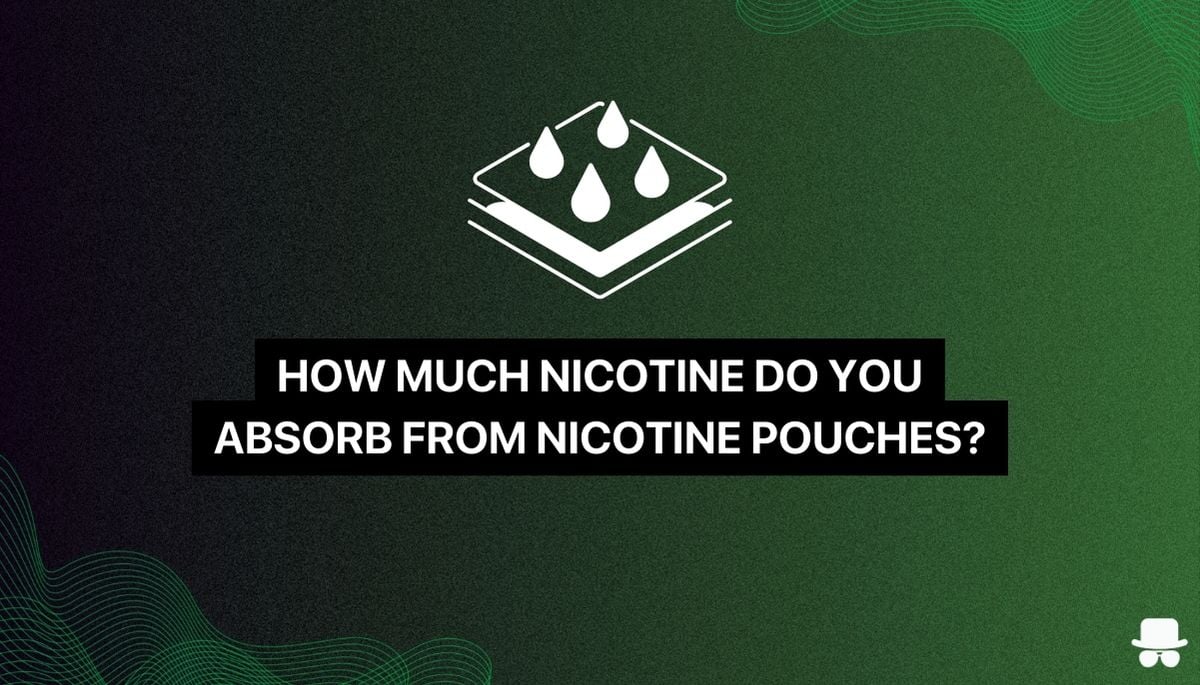 How Much Nicotine Do You Absorb from Nicotine Pouches?