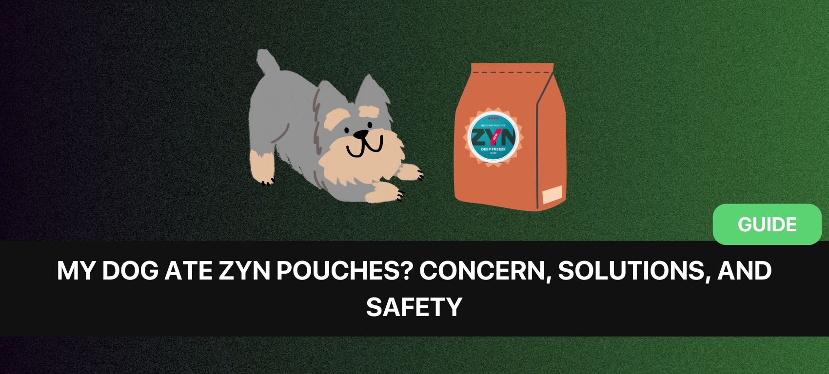 My Dog Ate ZYN Pouches? Concern, Solutions, and Safety