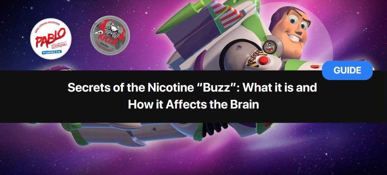 https://snusdaddy.com/media/amasty/blog//87/Secrets_of_the_Nicotine_Buzz_What_it_is_and_How_it_Affects_the_Brain.jpg