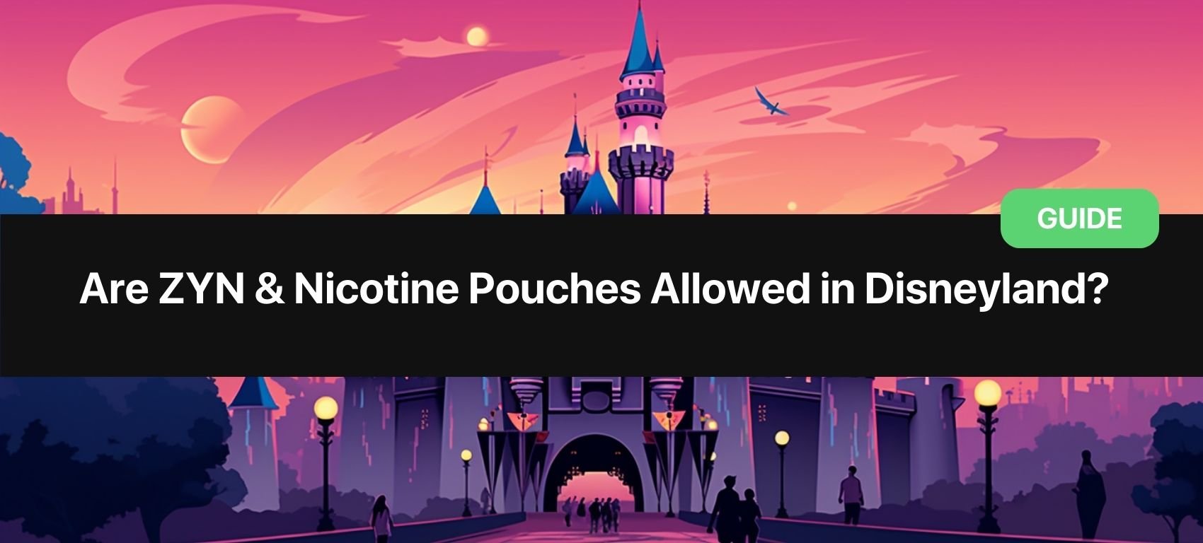 https://snusdaddy.com/media/amasty/blog//98/Are_ZYN_Nicotine_Pouches_Allowed_in_Disneyland.jpg