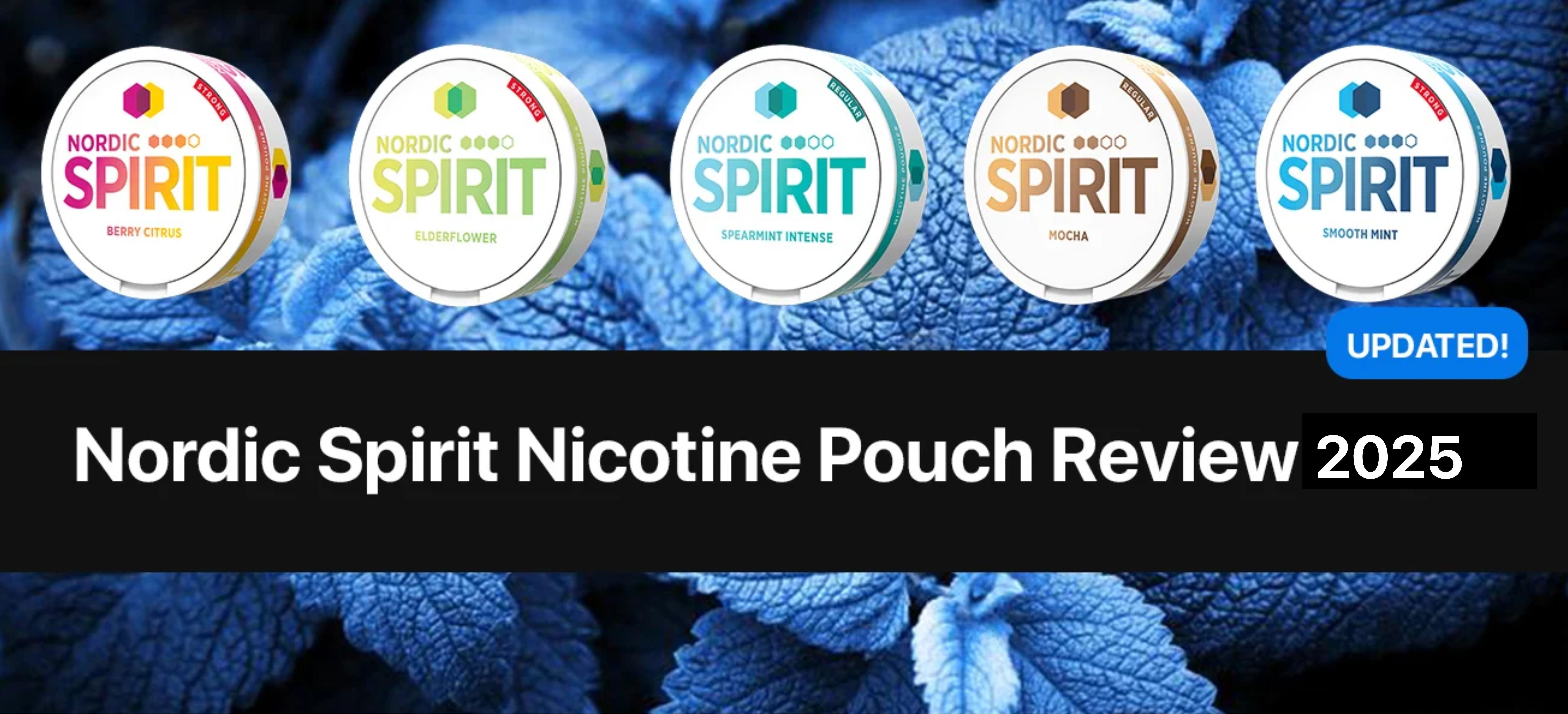 https://snusdaddy.com/media/amasty/blog/Nordic_Spirit_nicotine_pouch.jpg