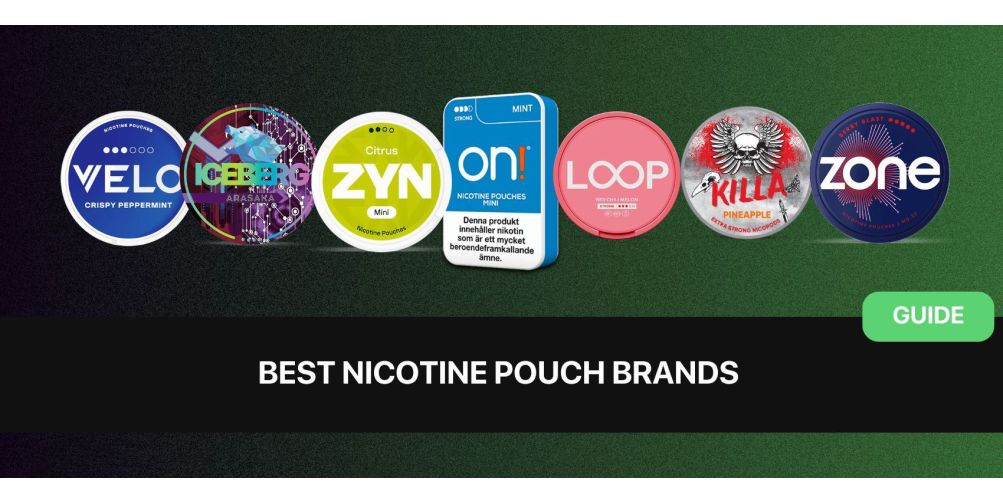 https://snusdaddy.com/media/amasty/blog/cache/B/e/1003/502/Best_Nicotine_Pouch_Brands.jpg