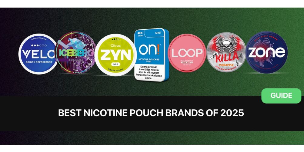 https://snusdaddy.com/media/amasty/blog/cache/B/e/1003/502/Best_Nicotine_Pouch_Brands_of_2025.jpg