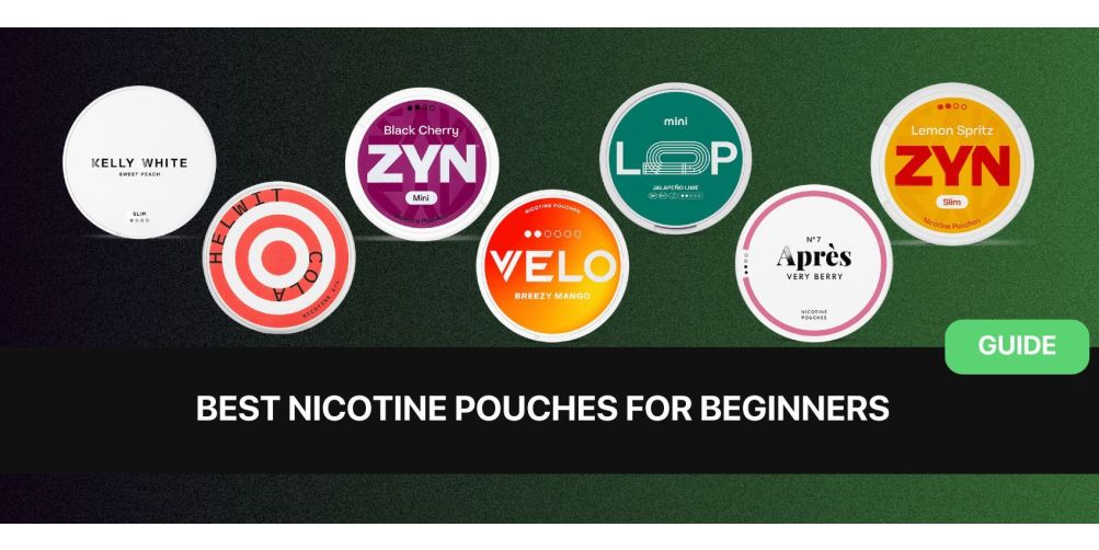 https://snusdaddy.com/media/amasty/blog/cache/B/e/1003/502/Best_Nicotine_Pouches_for_Beginners.jpg