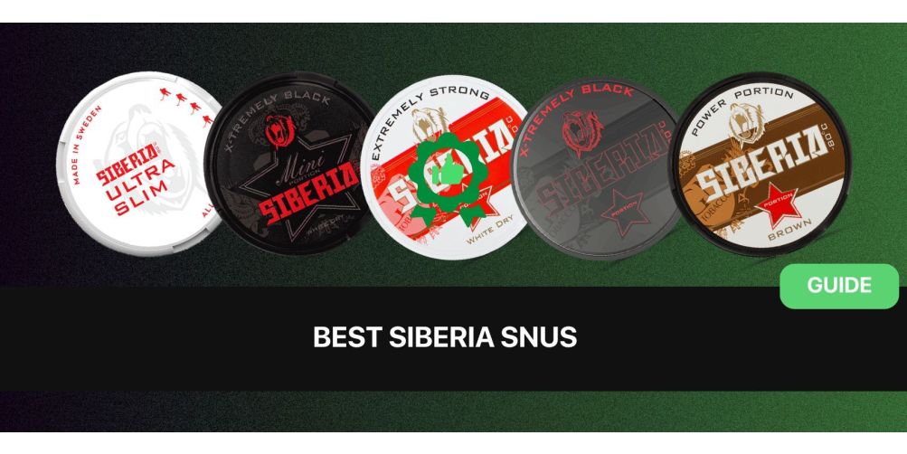 Bester Siberia Snus 2024: Die besten Geschm&auml;cker und St&auml;rken in Reihenfolge