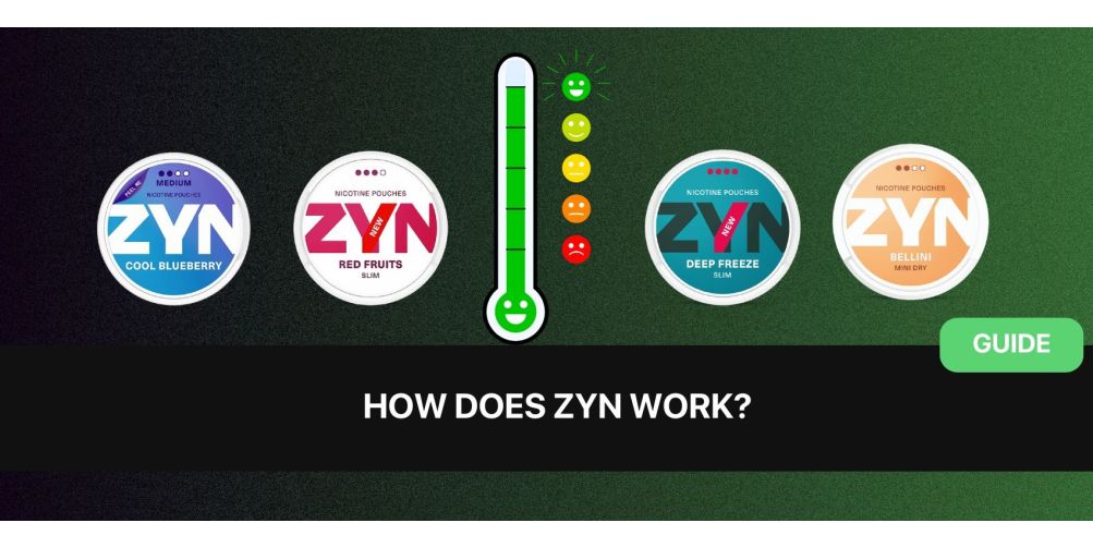 https://snusdaddy.com/media/amasty/blog/cache/H/o/1003/502/How_Does_ZYN_Work.jpg