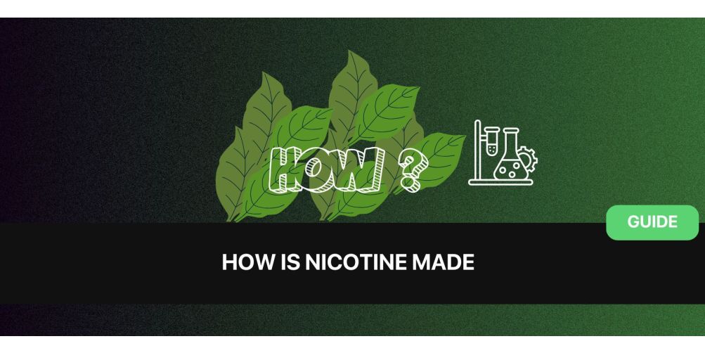 Where Nicotine Comes From & How it's Made (The #1 Guide)