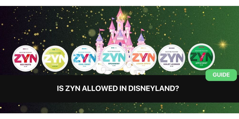 https://snusdaddy.com/media/amasty/blog/cache/I/s/1003/502/Is_ZYN_allowed_in_Disneyland.jpg