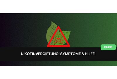 vape vergiftung symptome Risiken von E-Zigaretten und Tabakerhitzern main image 0