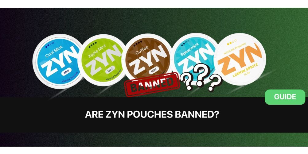 zyn ban