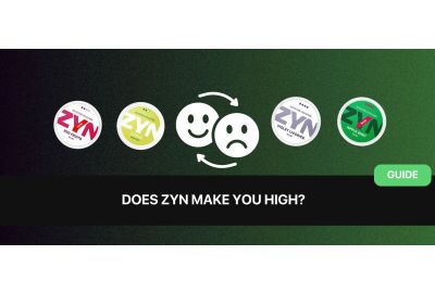 Macht ZYN high? Nikotin-Kick erklrt fr Anfnger & Erfahrene