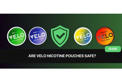Are VELO Nicotine Pouches Safe?