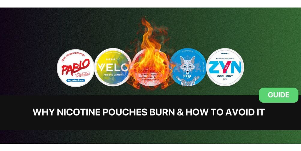 https://snusdaddy.com/media/amasty/blog/cache/w/h/1003/502/why_nicotine_pouches_burn_and_how_to_avoid_it_.jpg