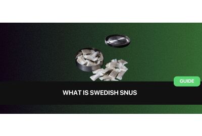 What is Swedish Snus: Everything About Swedish Smokeless Tobacco