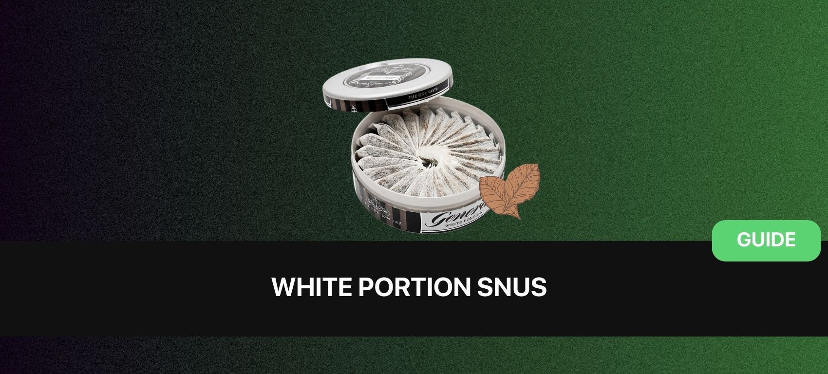 White Portion Snus: Types, Brands & Guide for 2026