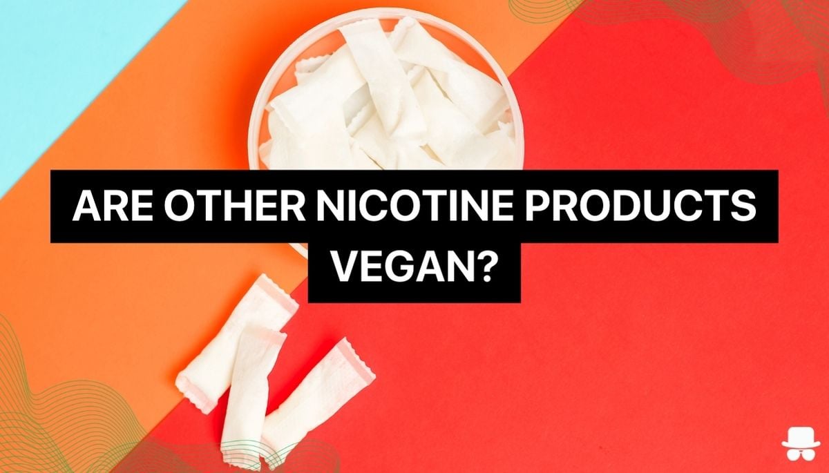 Image of a nicotine pouch can and the text saying are other nicotine products vegan?