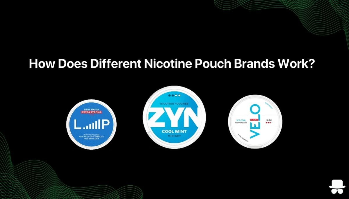 Image of loop, zyn, and velo with the text saying how does different nicotine pouches brands work