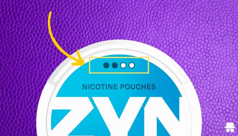 The 10 Best ZYN Flavors Ranked - World of ZYN (2024) (2025)