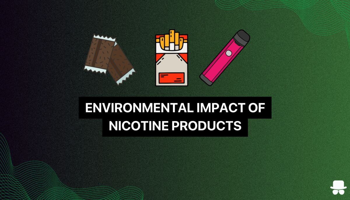 snus, vape and ciggarettes and their environemental impacts compared to nicotine pouches