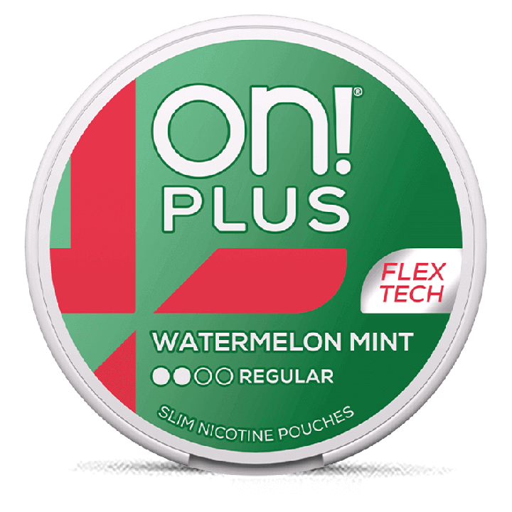 on! PLUS Watermelon Mint Regular
