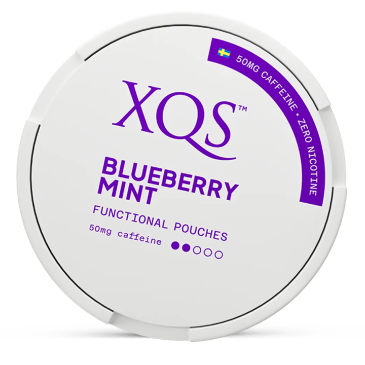 XQS Blueberry Mint Zero