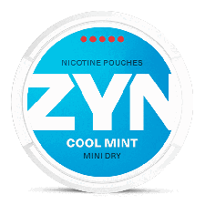 ZYN Mini Dry Cool Mint 9 mg