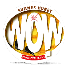 WOW! Summer Honey White Portion snus can at Snusdaddy.com