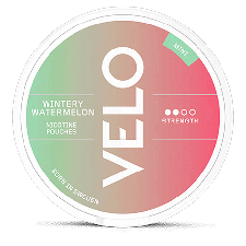VELO Wintery Watermelon Mini