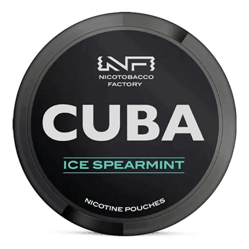 spearmint tobacco pouches Buy Spearmint Nicotine Pouches | Soft Mint Flavor