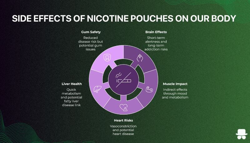 Effects of nicotine on our body visualization