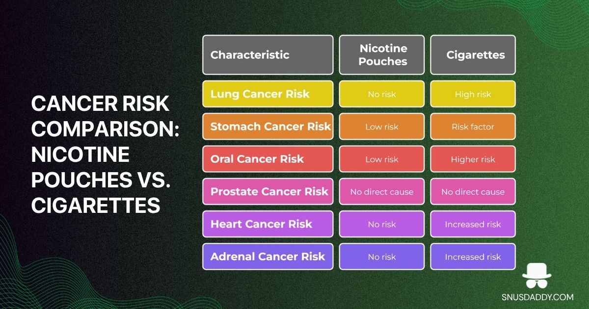 cancer risk analysis of nicotine pouches
