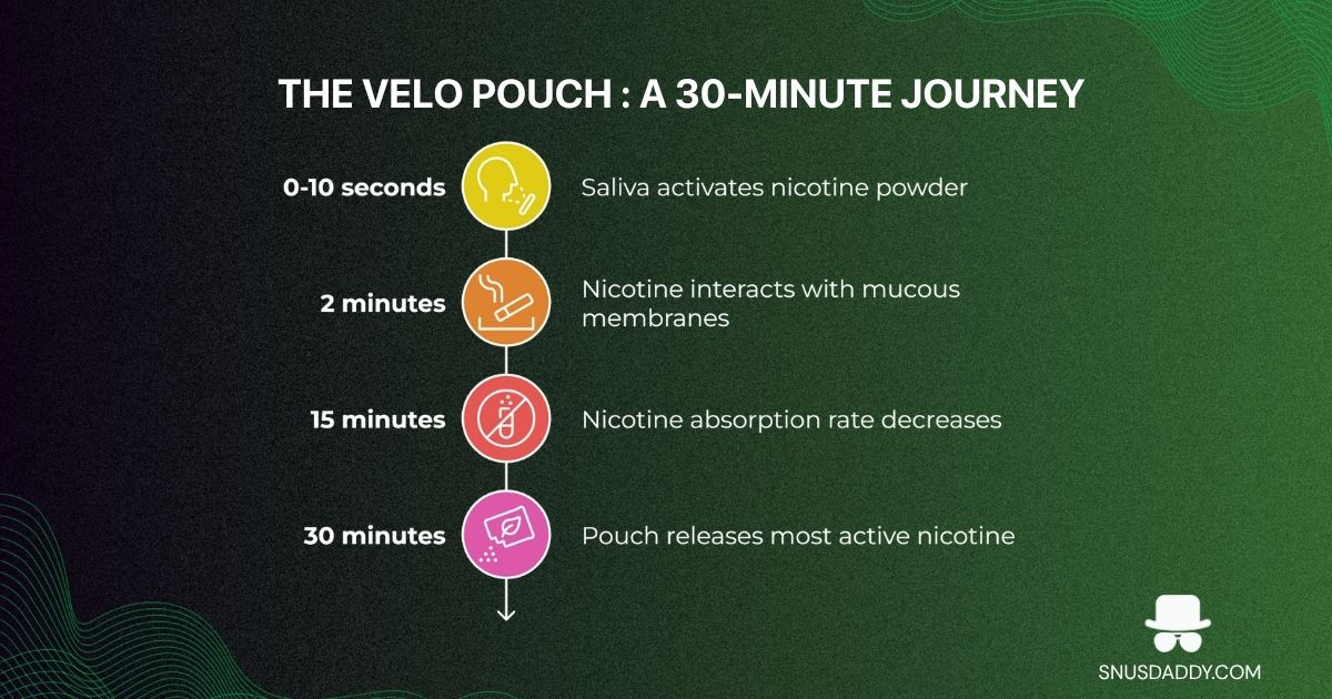 How long velo nicotine pouches last
