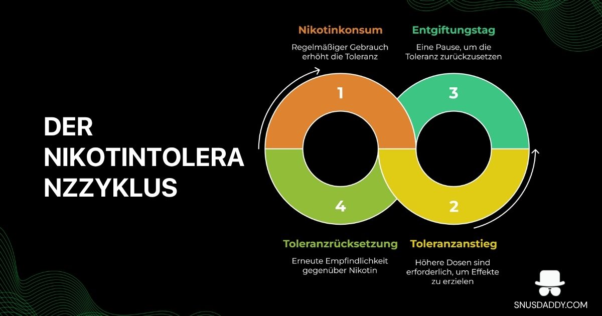 Nicotine tolerance cycle