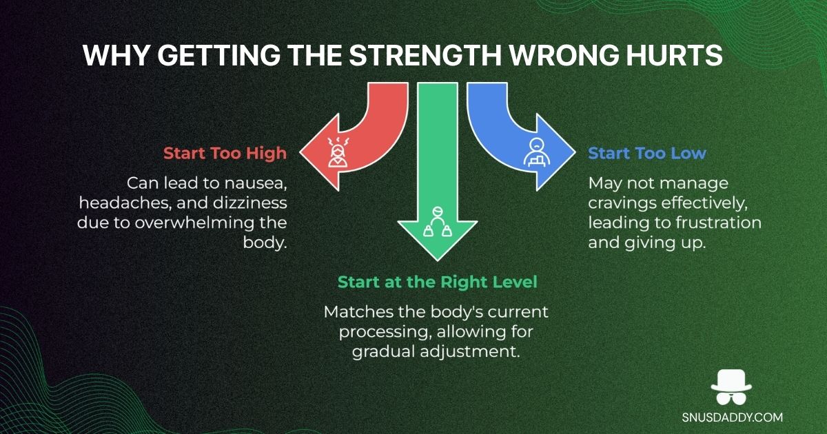 Nicotine Pouch Strength Guide