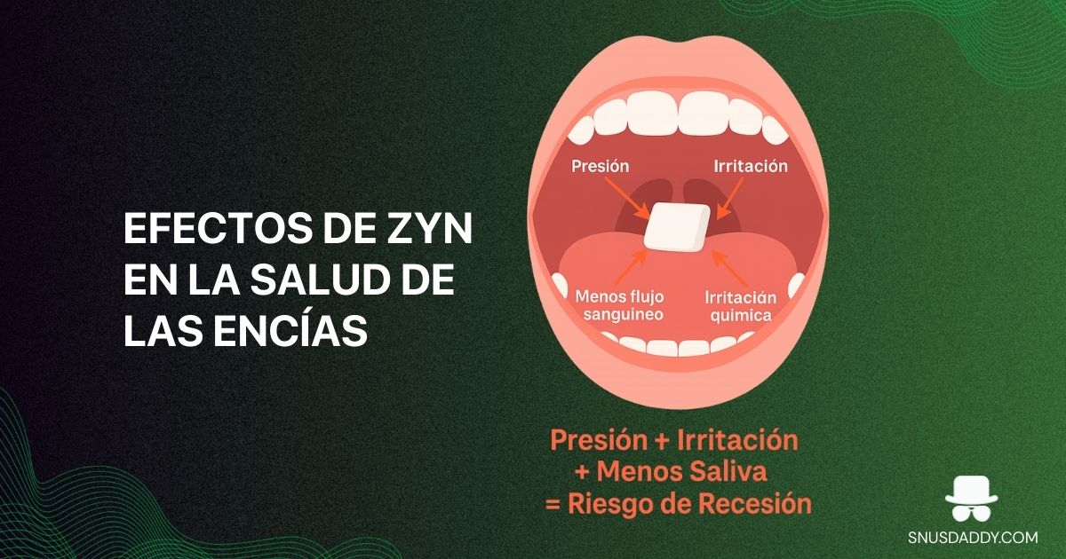 ZYN and gum diseases