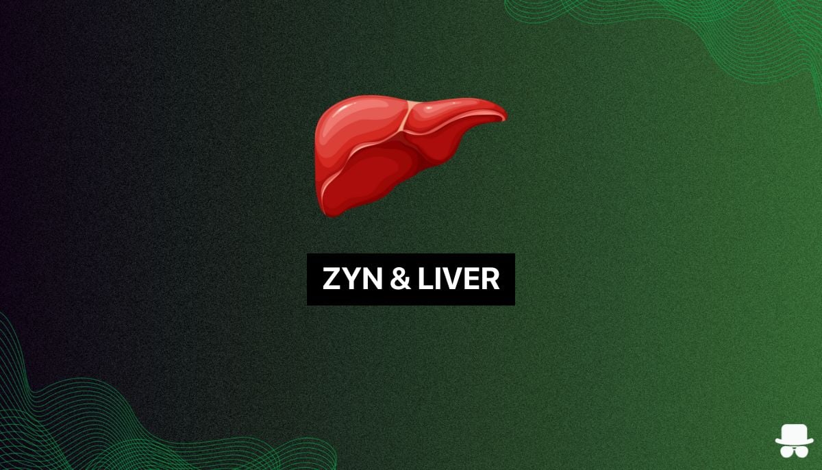 Are ZYN Pouches Safe For Your Liver?