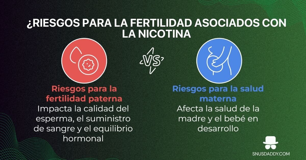 Effects of nicotine pouches on fertility