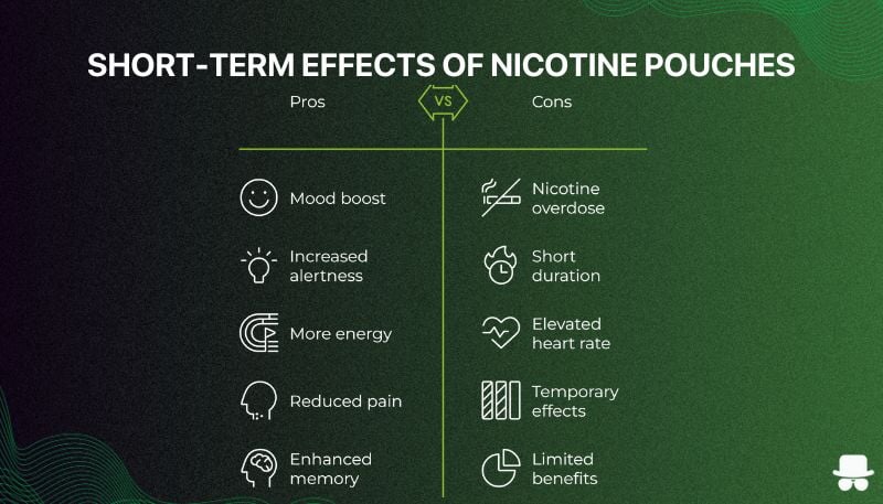 Short teram effects of nicotine pouches on our body