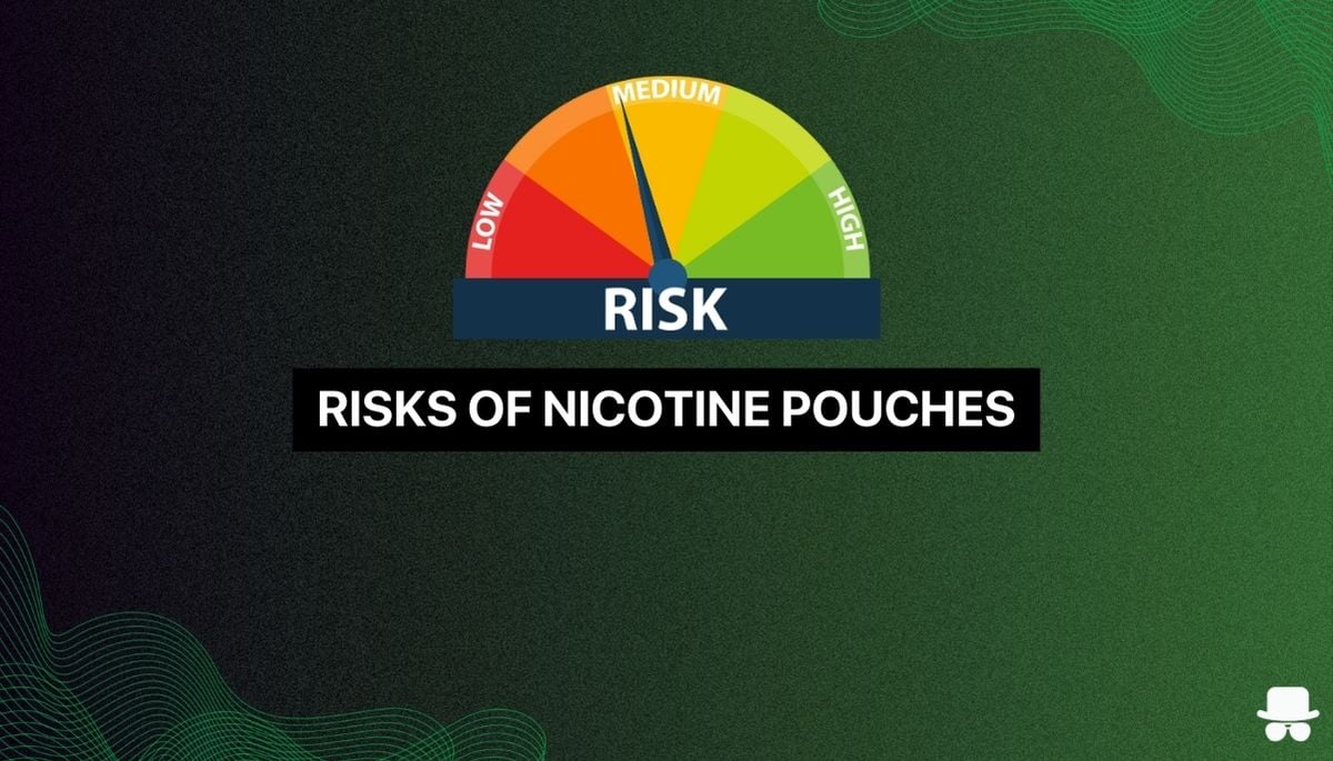 nicotine pouches and their risks